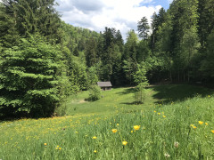 7388A01C-7369-4F10-BAAF-90794EB6B9CA.jpeg
