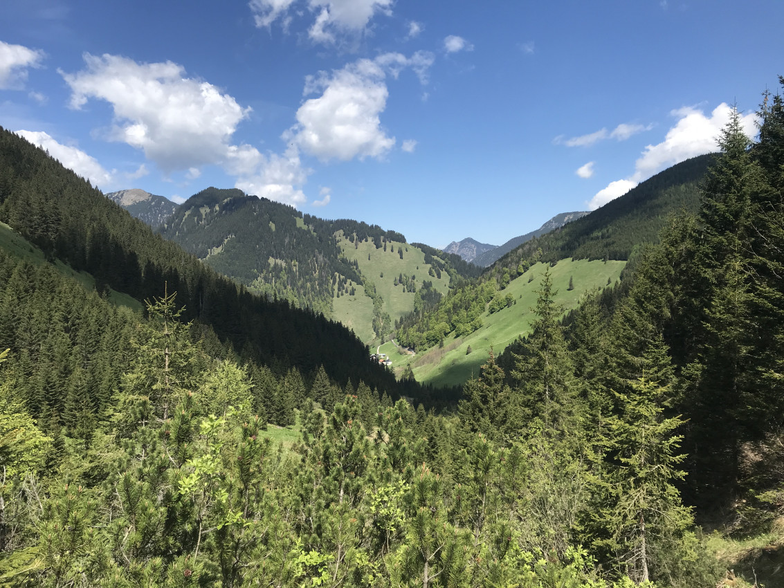 3918E2DF-EE72-4CA6-A64C-36FCA1EDB245.jpeg