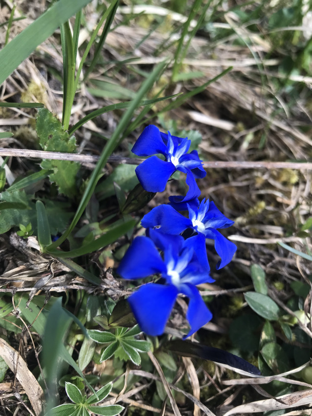 F0649FF6-9A02-4F6D-8F1B-155410997B0A.jpeg