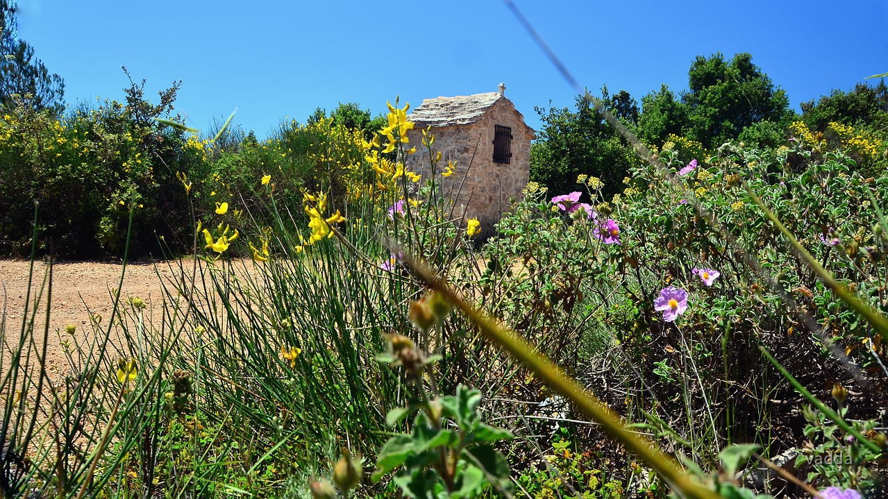 DSC_3275 Hvar