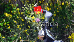 DSC_3327 Hvar