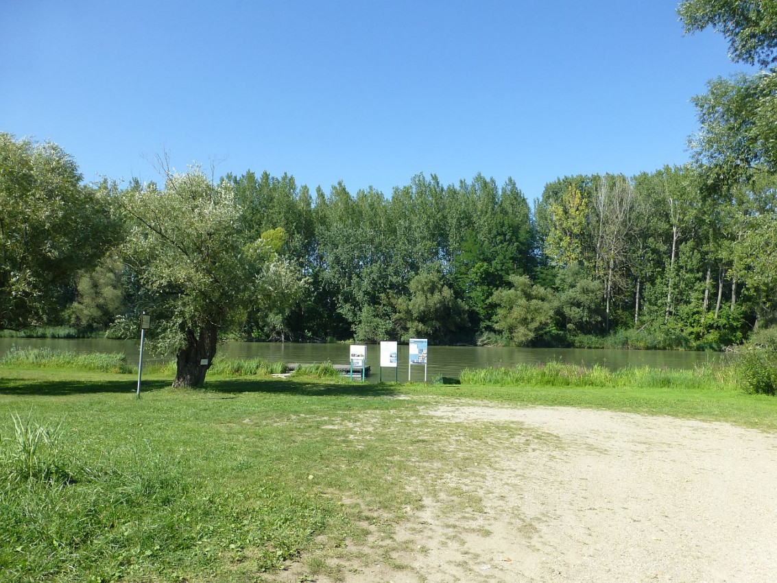 Mecsér1.jpg