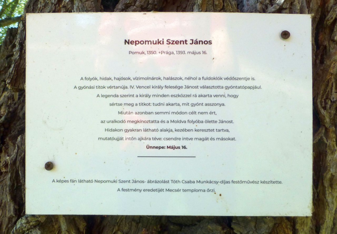 Mecsér5.jpg