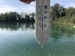2A521D7C-8720-4DAA-BC73-246B2A0C214C.jpeg