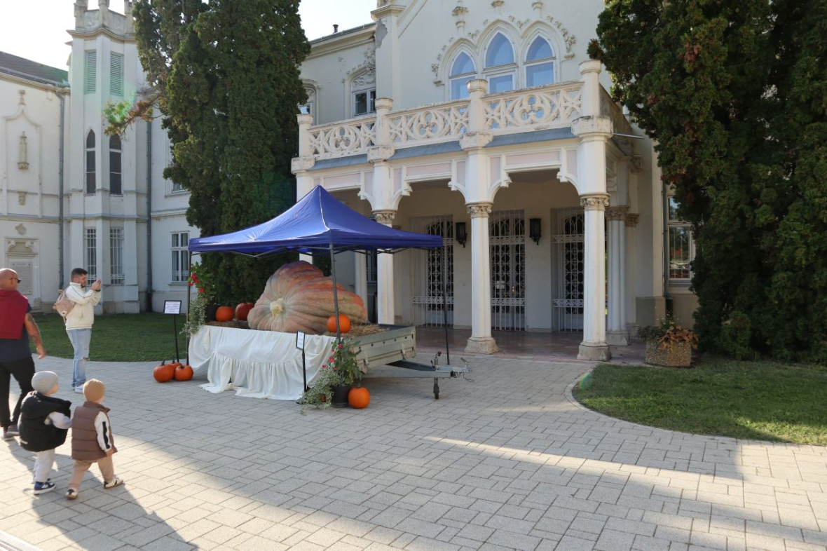 Martonvásár11.jpg