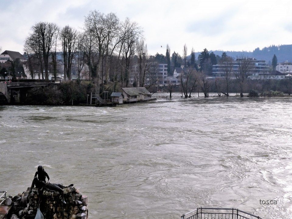 Inseli (Burgkastell) bei Rheinfelden (schweizer Seite)