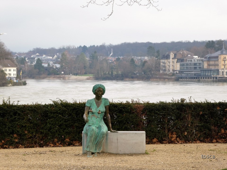 Blick vom Inseli auf den Rhein