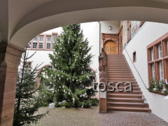 Innenhof Rheinfelden Rathaus