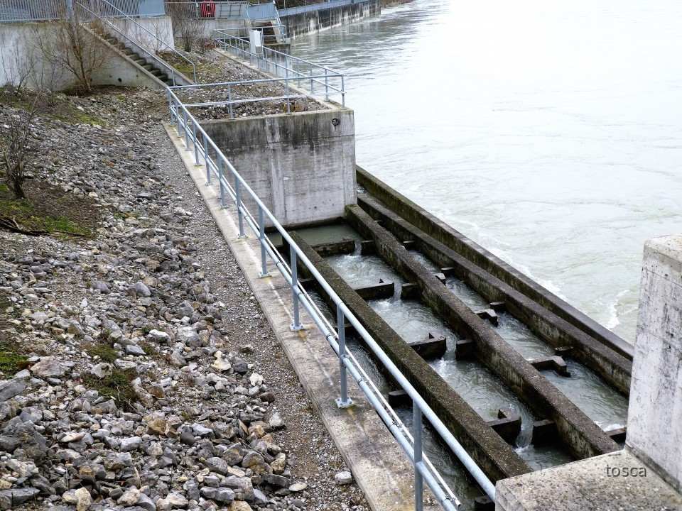 Fischtreppe beim Flusskraftwerk