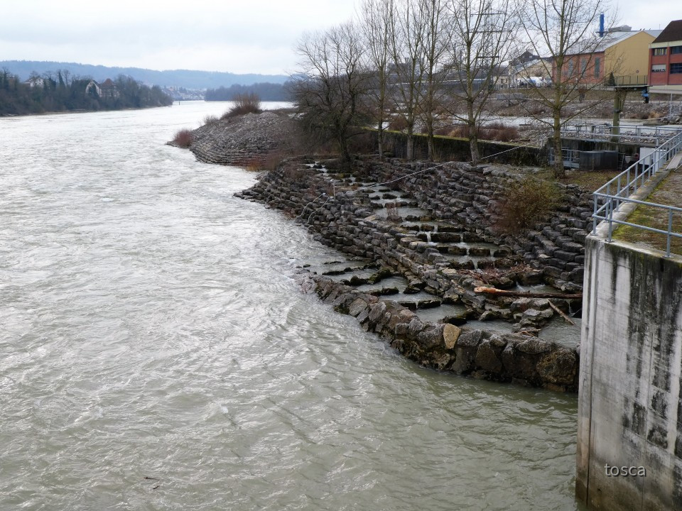 Fischaufstiegsgewässer beim Flusskraftwerk am Hochrhein