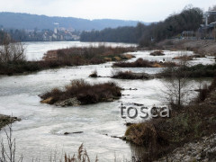 Renaturierungsmassnahme und Fischaufstieggsgewässer am Rhein beim Kraftwerk