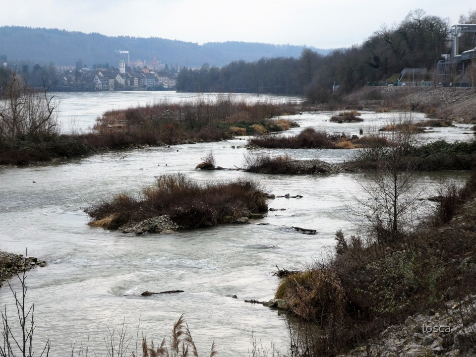 Renaturierungsmassnahme und Fischaufstieggsgewässer am Rhein beim Kraftwerk