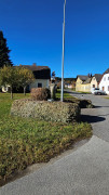 Spital (Weitra) < Nepomuk