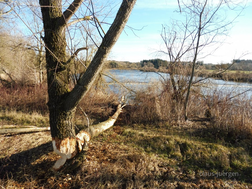 Frankenhofer See