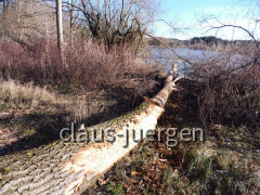 Frankenhofer See