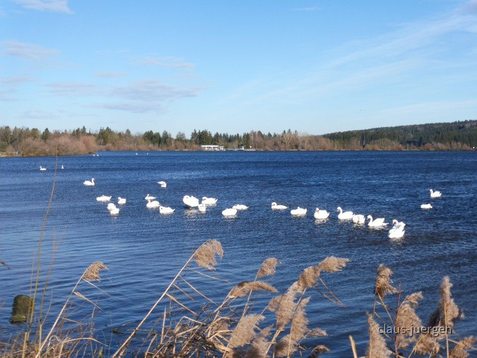Frankenhofer See