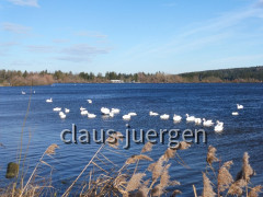Frankenhofer See