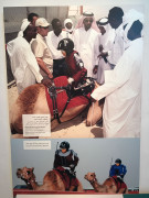 Doha 6