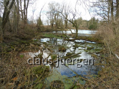 Frankenhofer See