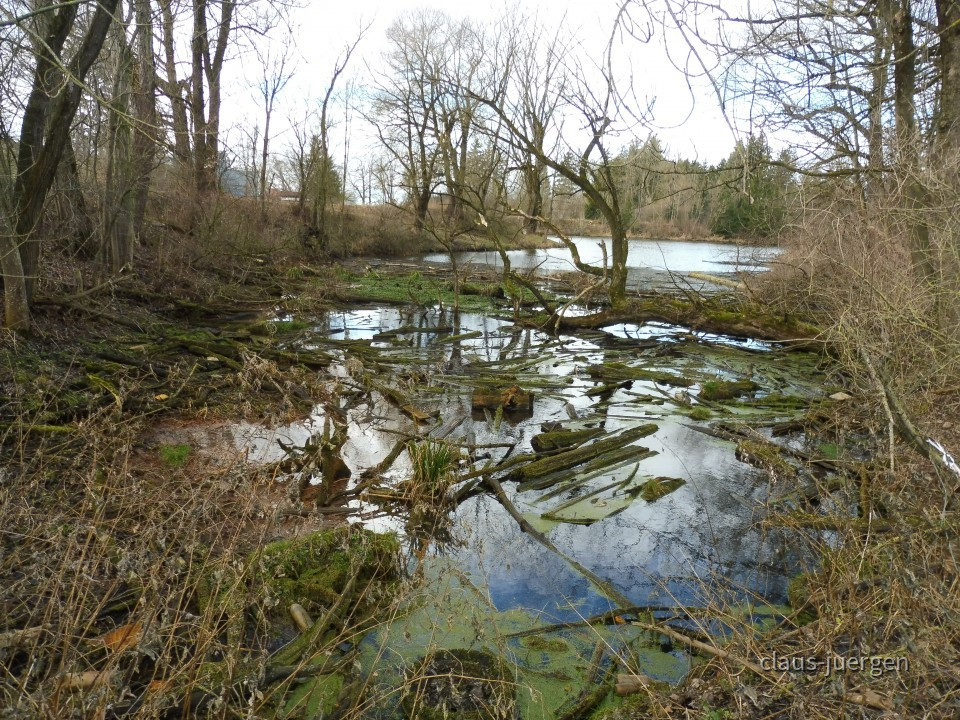 Frankenhofer See