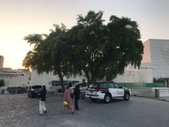 Doha7