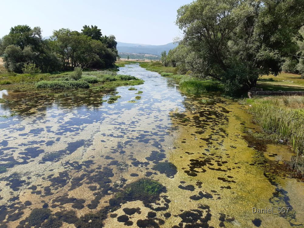 04_Plocasti Brücke.jpg