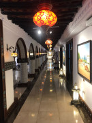 Doha 8