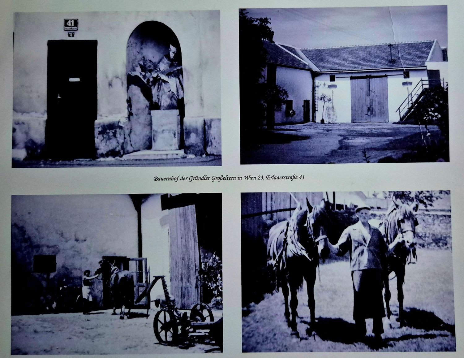 Nepomuk Erlaaerstrasse 41