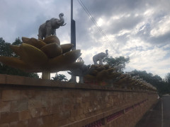 Thai 9