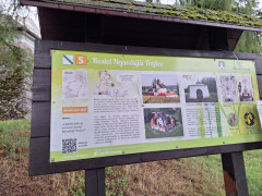 Trhové Sviny < Nepomuk