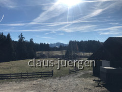 Wildberg