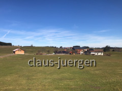 Wildberg