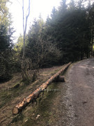 Rieden