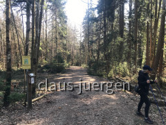 Eibenpfad