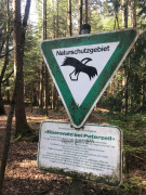 Eibenpfad