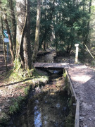 Eibenpfad
