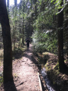 Eibenpfad