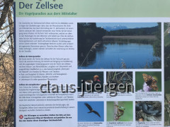 Eibenpfad