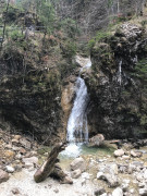 Steckenberg