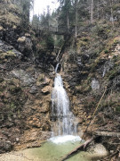 Steckenberg