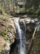 Steckenberg