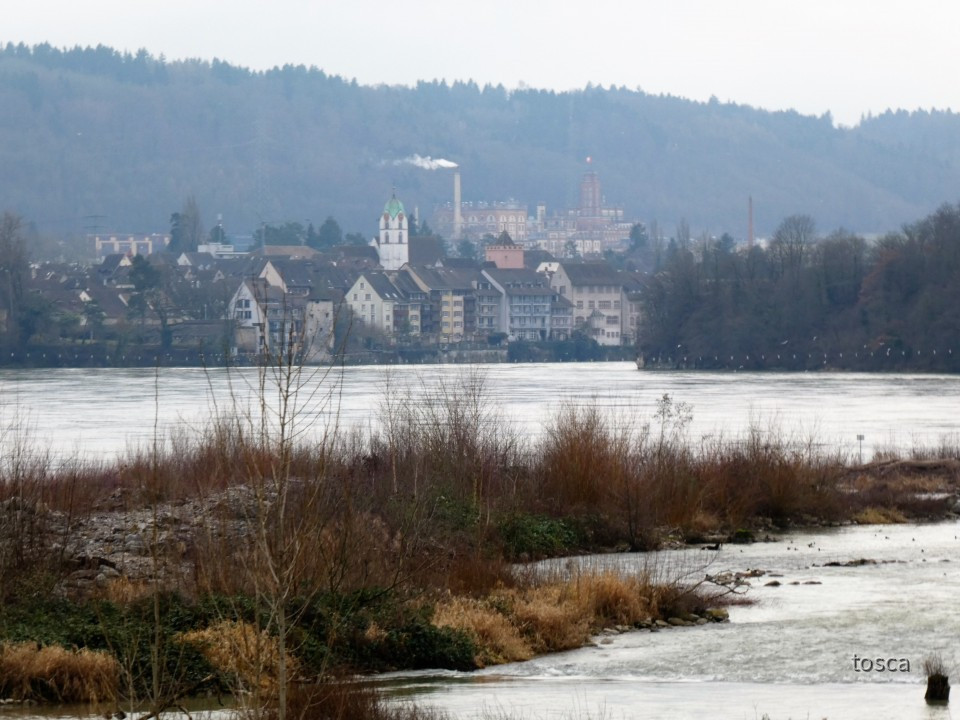 Blick zum schwiezerischen Rheinfelden