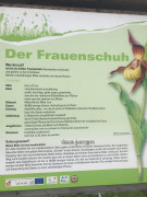 Frauenschuh