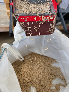 Pellets