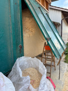 Pellets