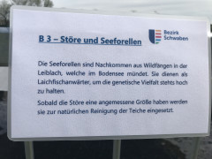 Fischerei