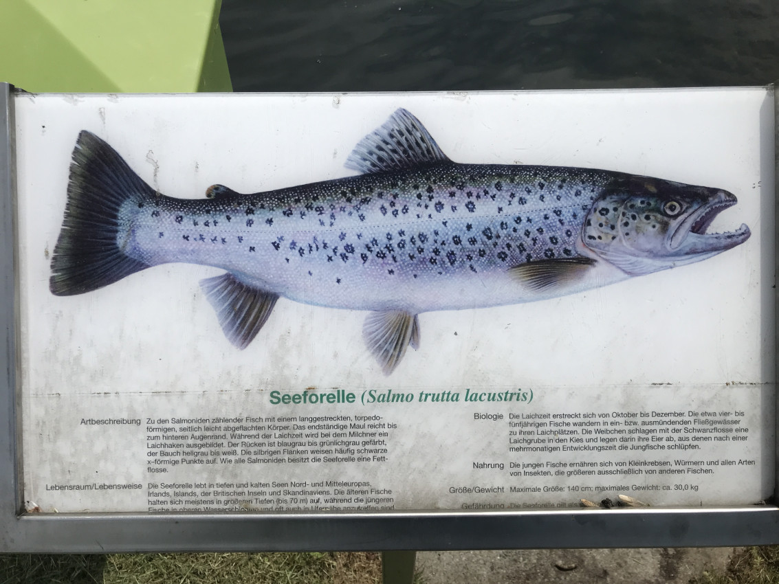 Fischerei