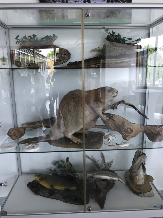 Fischerei