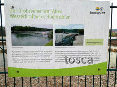 Rheinuferweg Rheinfelden