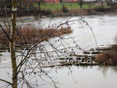 Fischaufstiegsgewässer